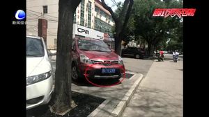 交通违法曝光台