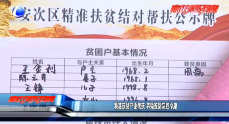 精准扶贫产业帮扶 养兔致富决胜小康