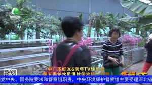 乐游天下 20180615