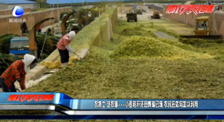 农博士 话农事——小麦秸秆还田弊端已现 农民应如何加以利用