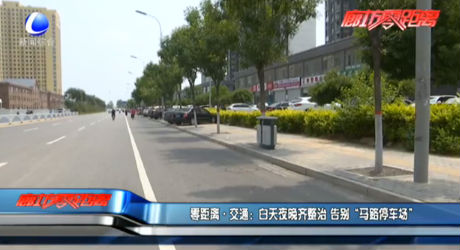 白天夜晚齐整治 告别“马路停车场”