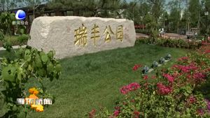 市政协委员围绕主城区建设开展视察和协商议政活动