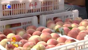 永清县石各庄村建仙桃批发市场 方便村民销售