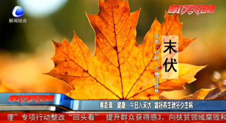 零距离健康：今日入末伏 做好养生秋冬少生病