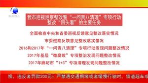 整改“回头看”工作解读