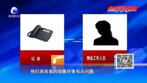 窗前愛竹突然被砍 居民痛惜要说法