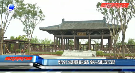 我市全力创建国家森林城市 绿色生态廊坊渐行渐近