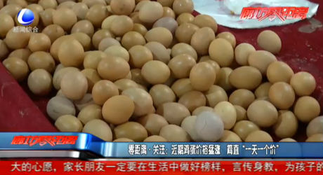零距离·关注：近期鸡蛋价格猛涨 简直“一天一个价”