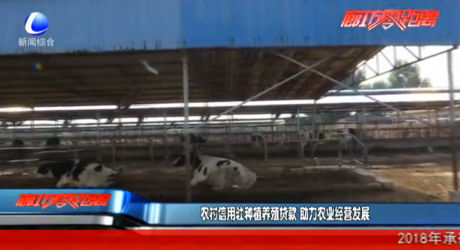 农村信用社种植养殖贷款 助力农业经营发展