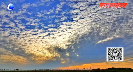 天空出现“鱼鳞云” 美景