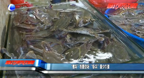 “蟹将”粉墨登场 “虾兵”量少价涨