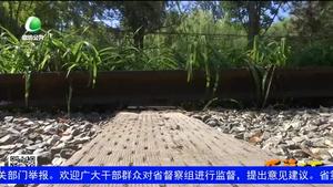 乐游天下 20180907