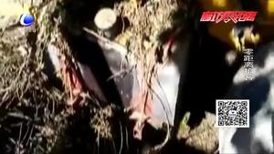 车停路边被“油耗子”盯上 油损超过16000元