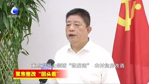 聚焦整改“回头看”