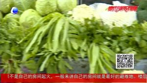 天气晴好 蔬菜 鸡蛋价格回落