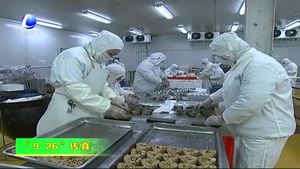 固安县兴芦集团积极筹备“9·26”农交会参展工作