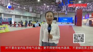 京津冀非物质文化遗产精品联展暨第六届廊坊特色文化博览会启幕