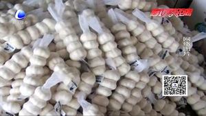 拉蒜车“绿色通道”通不过？工作人员：干皮大蒜有别于鲜蒜 不减免