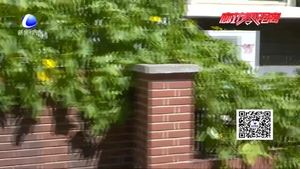 半夜狗吠太扰民 和谐邻里需共治