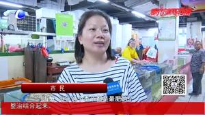 休渔期结束 美味海鲜“出水”市场价格“跳水”