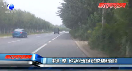 安次区东安庄连接线 路边灌木遮挡视线存隐患