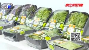 河北现代农业展：展示蓬勃发展中的河北现代农业