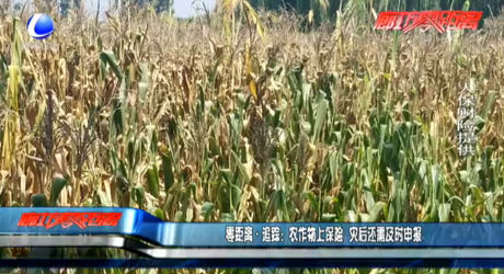 农作物上保险 灾后还需及时申报