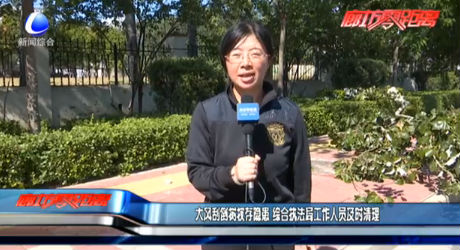 大风刮倒树杈存隐患 综合执法局工作人员及时清理