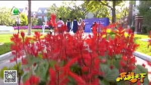 乐游天下 20180928