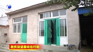 霸州市“六大工程”确保精准扶贫见实效