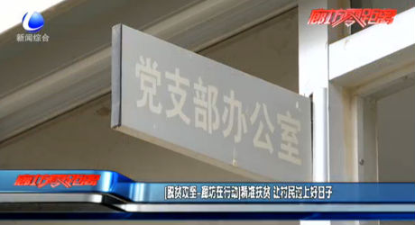 [脱贫攻坚—廊坊在行动]精准扶贫 让村民过上好日子