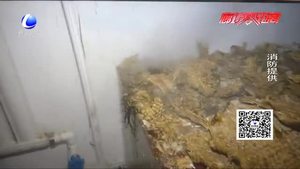 吊顶内惊现巨型马蜂窝 消防成功处置