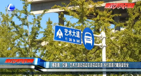 艺术大道非机动车走机动车道 各行其道才能保证安全