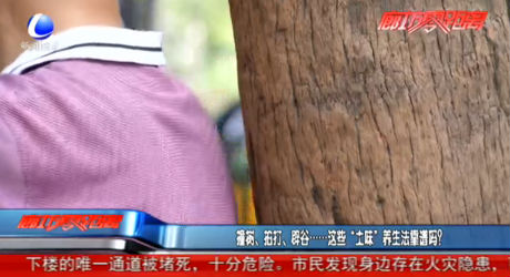 撞树、拍打、辟谷......这些“土味”养生法靠谱吗？