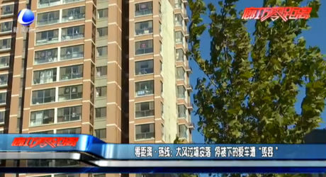 零距离·热线：大风过墙皮落 停楼下的爱车遭“毁容”