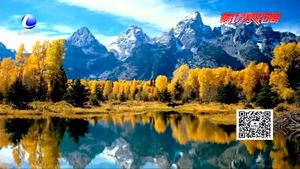 秋色渐浓 错峰出行正当时