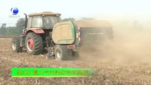 大城县：秸秆回收变废为宝 增收增效守护蓝天