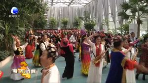 京津冀麦西来甫舞交流活动在我市举行