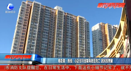 零距离·热线：小区多只宠物狗接连死亡 居民很费解