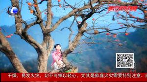 秋色尽冬将来 霜林尽染迎霜降