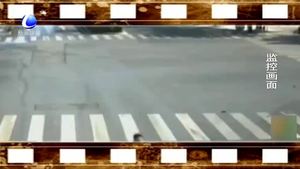 前车随手抛物 后车司机主动下车捡起垃圾