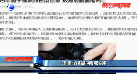 生活中应小心 猫抓伤也要接种狂犬疫苗