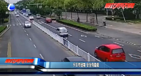 开车带宠物 安全有隐患