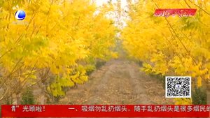 做美绿色生活 群众幸福指数攀升