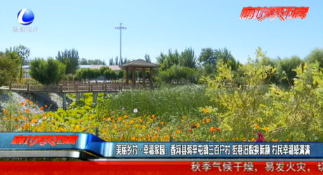美丽乡村·幸福家园：香河县蒋辛屯镇三百户村 街巷旧貌换新颜 村民幸福感满满