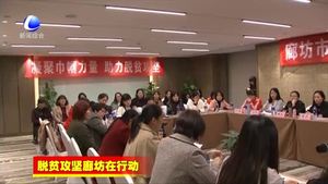 市妇联在香河县召开巾帼巧手脱贫现场观摩培训暨经验交流会