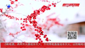 今日立冬：北风潜入悄无踪 未品秋浓已立冬