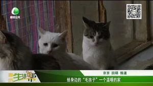 给身边的“毛孩子”一个温暖的家