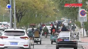 交通违法曝光台：非机动车逆行“太任性”