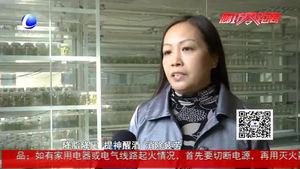 食在好源头——百香果的食用价值